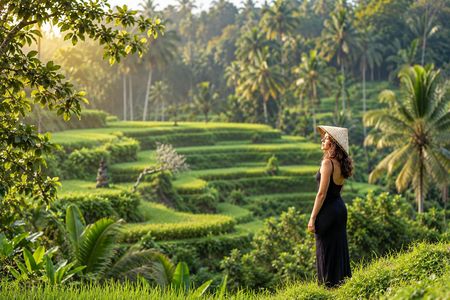Full-day Ubud highlights tour