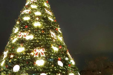 Visit to the Christmas markets in Metz