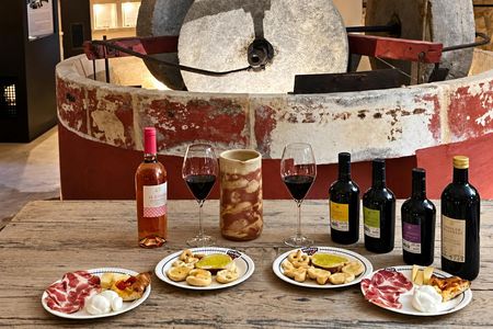 Hypogeum olive mill tour and oil tasting in Martina Franca