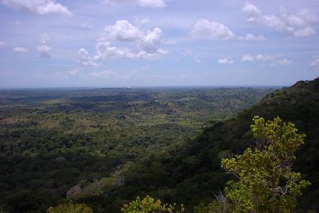 Small-Group Tour: Shimba Hills National Park from Diani Beach