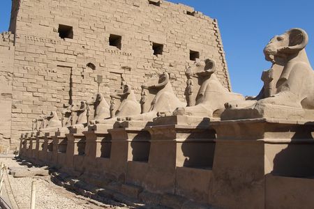 Luxor East Bank Private Tour Karnak Luxor temples