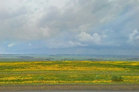 Explore the Ethiopian Rift Valley Lakes and the UNESCO Site of Steles of Tiya