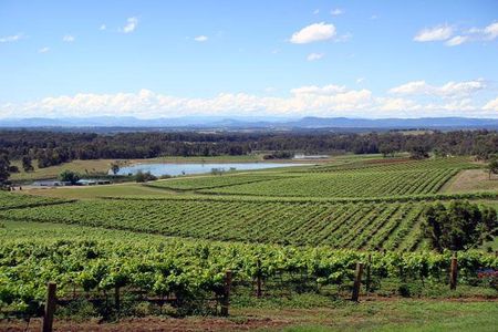 Private Hunter Valley Wine-Tasting Day Tour from Sydney