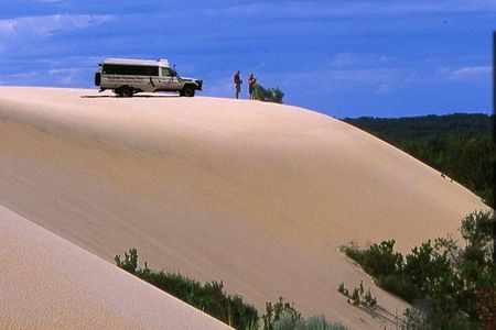 Half-Day Pemberton National Parks Beach and Forest Eco Adventure