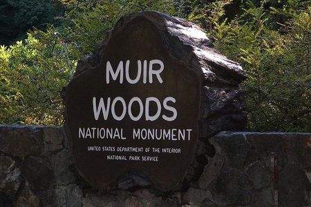 Muir Woods, Sausalito and Tiburon Trip from San Francisco