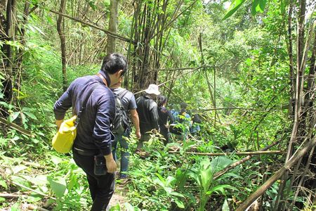 Small Group : Trekking Trip in Chiang Mai (Doi Suthep Area) with Market Tour