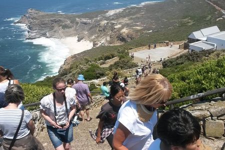 Best of the Cape (Cape Point & Winelands)