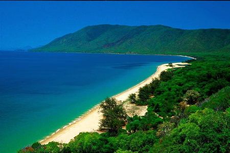Cairns Reef/Rainforest : Daintree Rainforest & Great Barrier Reef