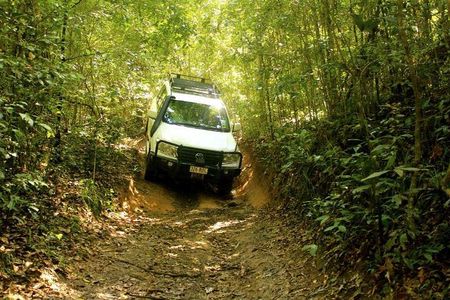 Barron Gorge and Kuranda National Park Half Day Rainforest and Waterfall 4WD Tour from Cairns