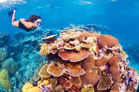 6-Day Best of Cairns Including the Great Barrier Reef, Kuranda and the Daintree Rainforest