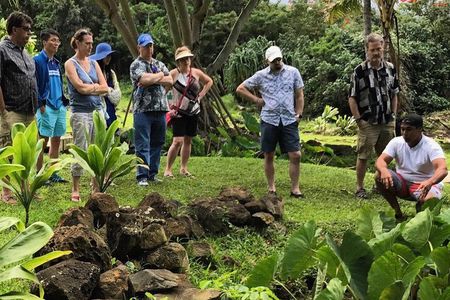 Secret Oahu Hawaii Culture Tour