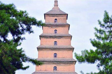 Terracotta Army&Big Wild Goose Pagoda Private Day Tour