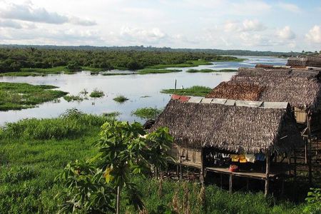 3-Day Amazon Jungle Adventure from Iquitos
