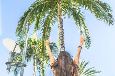 Los Angeles Half-Day Tour - Downtown, Hollywood, Rodeo Drive, Farmer's Market