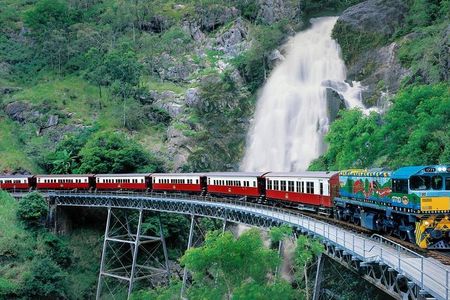Kuranda Scenic Railway & Skyrail Tour from Port Douglas