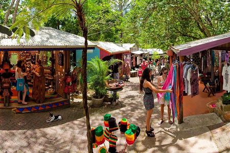 Adventure on a Budget Visit Kuranda or Palm Cove from Pt Douglas