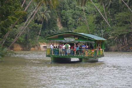 Bohol Island Countryside Tour with Buffet Lunch River Cruise (Cebu or Bohol)