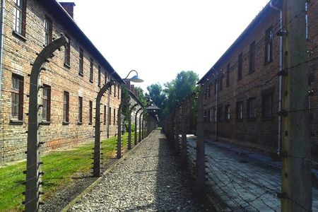 Auschwitz-Birkenau Self-Guided Visit from Krakow with Private Transfers
