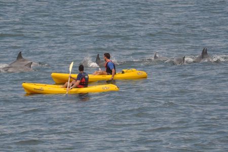 Sea Kayak and Cape Point Private Tour from Cape Town