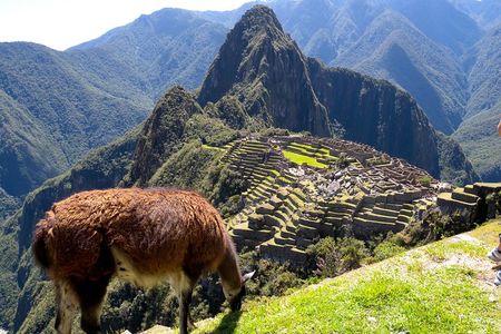 4 Day - Machu Picchu Special - Group Service