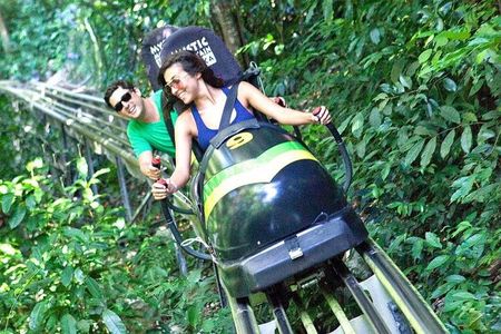 Jamaica Bobsled Adventure Tour (Mystic Silver) from Runaway Bay