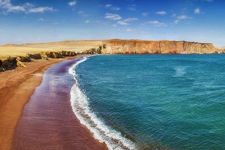 Paracas National Reserve Private Tour from Paracas or Pisco