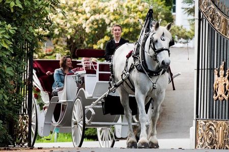 Premier Horse-Drawn Carriage Experience in Victoria