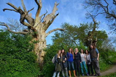 Eight Day Tour of Sacred England
