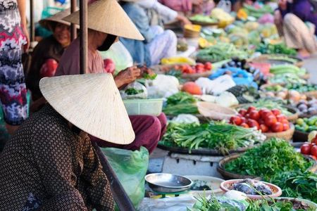 FARM TOUR AND HOME COOKING WITH LOCAL FAMILY IN HANOI 3-5 hours
