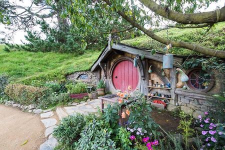 Hobbiton Movie Set Tour from Tauranga 6 hours CTT-17