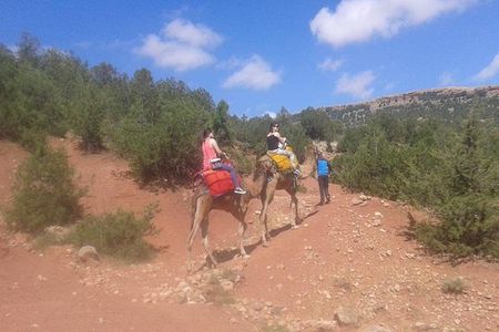 Private Day Trip from Marrakech: Camel Ride and Hike in the High Atlas Mountains