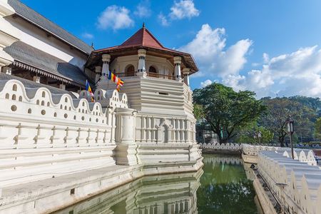 Temple of The Sacred Tooth Relic Entrance Ticket with Guide