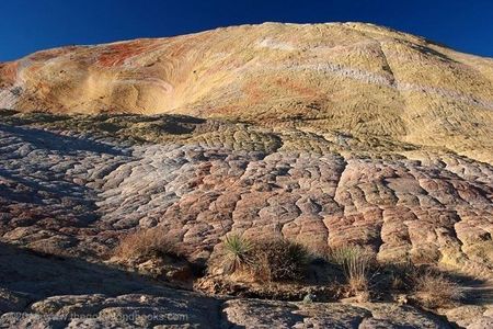 Hiking in Kanab: Walk and photograph scenic Yellow Rock in the Grand Staircase