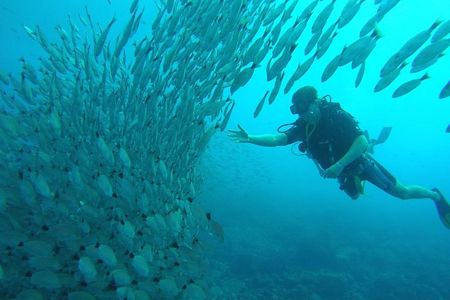 Scuba Diving Hermosa and Coco Beach for Certified Divers