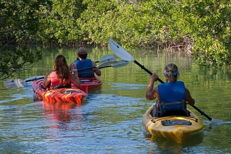 Key West Kayak Rental