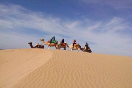 3 hours Camel Ride in Essaouira, beach and dunes