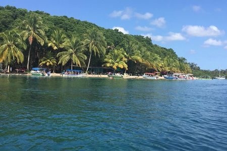 Speed Boat tour to Mangrove Point -Starfish Beach -Bocas del Drago and Birds Island