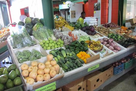 Outback Antigua Tour