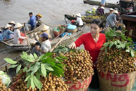 Private Luxury Tour Mekong Delta 1 day