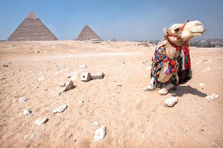 Sunset Safari Tour By Horse or Camel Ride