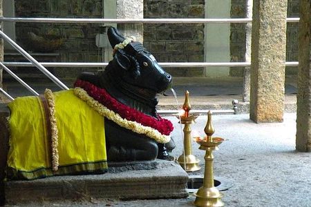 Malleswaram heritage walk, an immersive walking tour in Bangalore