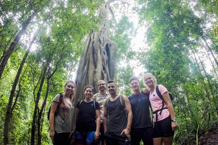 Chiang Mai: Doi Suthep Summit Trek – 7 Hour Pure Hiking Adventure