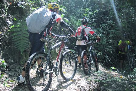No.1 Chiang Mai: Advanced XC Downhill Biking, Doi Suthep N. Park