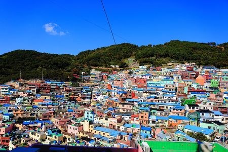 One Day Private Busan Tour with Local Tour Guide