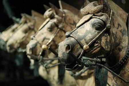Quick Tour to Xi'an Terracotta Warriors from Beijing by Air in One Day