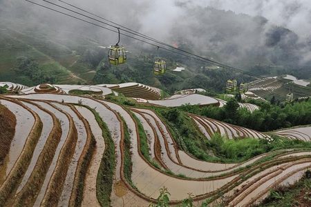 Longji Rice Terraces with the Dazhai Cable Car Private Day Tour