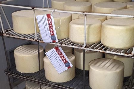 Discover the Art of Idiazabal Cheese in the Basque Country