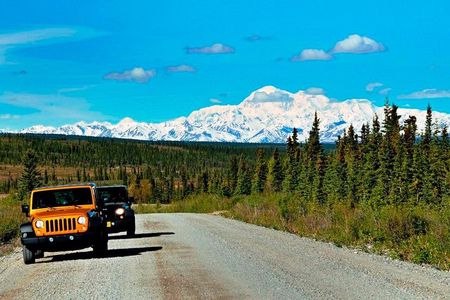 Denali Highway Jeep Excursion