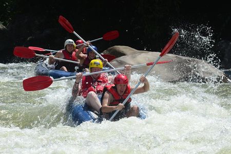 Tully River White Water Rafting Half day- from Mission Beach