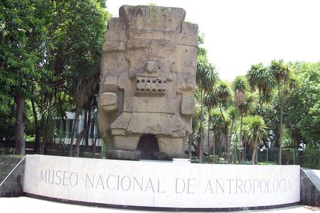Anthropology Museum Private Experience Walking Tour
